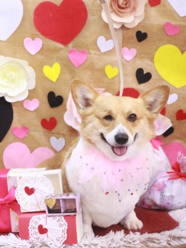 202302258はるちゃん